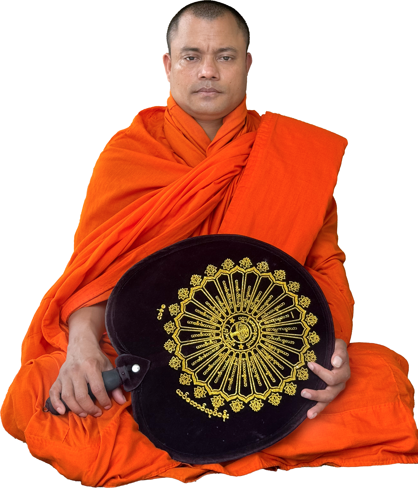 Saranankar image